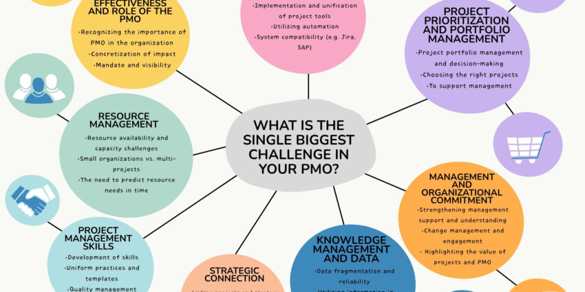 Results of the PMO study as a mind map